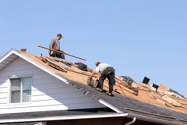 Best Metal Roofing Installation  in Rural Retreat, VA